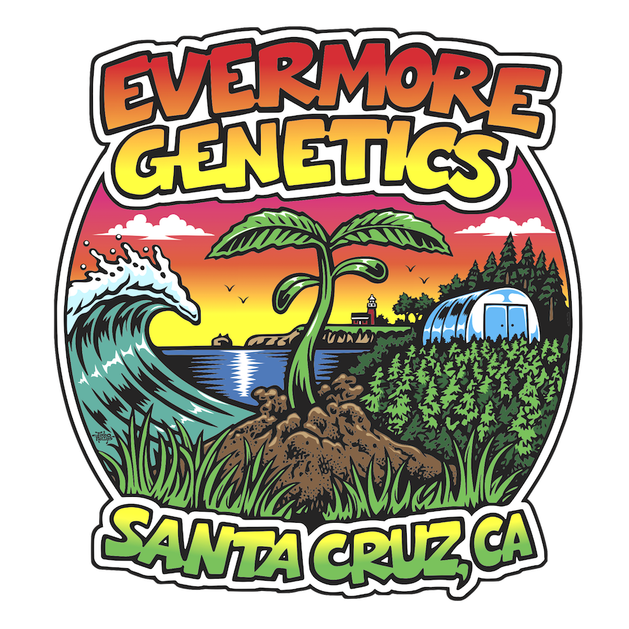 Black Hoodie Evermore Genetics