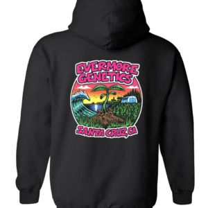 black hoodie