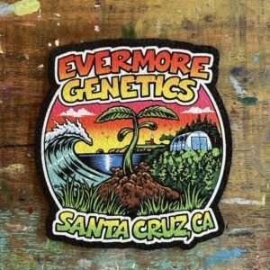 evermore genetics 12" mood mat