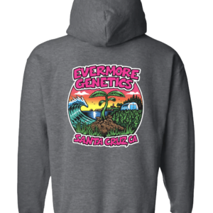 heather gray hoodie