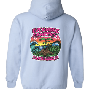 light blue hoodie