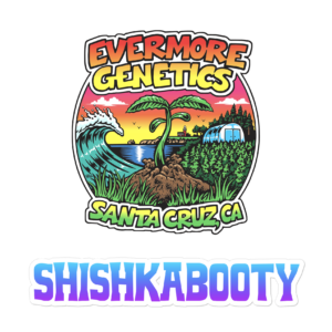 shishkabooty square tille with logo and blank back copy 7