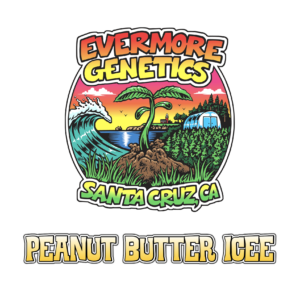peanut butter icee square tille with logo and blank back copy 5