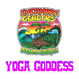 Evermore Genetics Yoga Goddess, Santa Cruz, logo design.