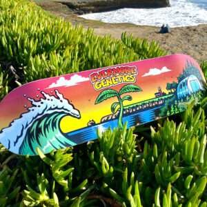 evermore genetics skate deck