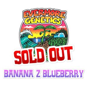 Evermore Genetics Banana Z Blueberry sold out