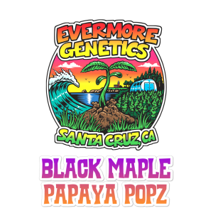 black maple papaya popz