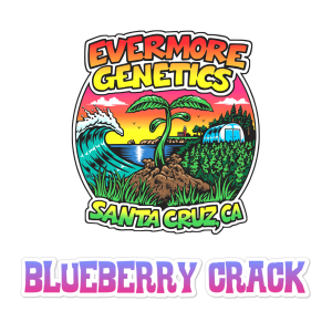 blueberry chrome