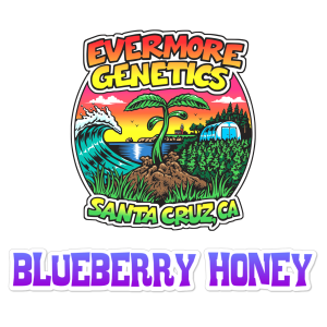 blueberry chrome