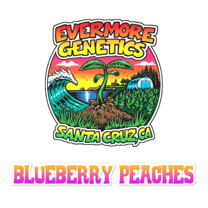blueberry crack