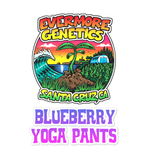blueberry crack