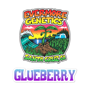 blueberry crack